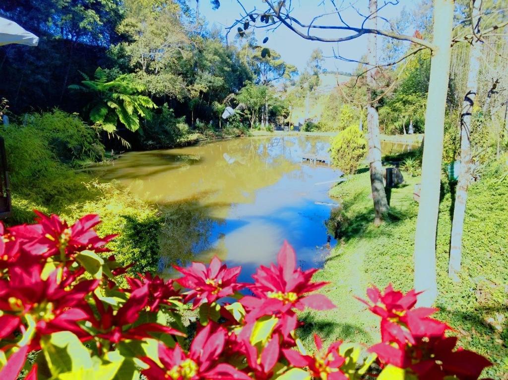 Pousada Valle Das Aguas 玛丽亚达费 外观 照片